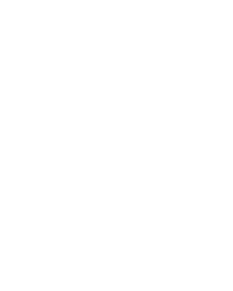 No More Leaks logo